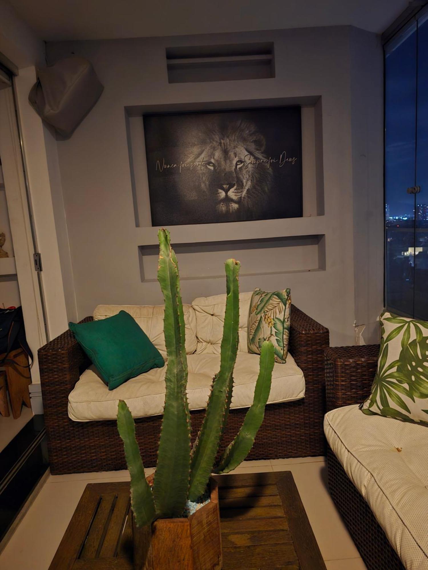 Beira Mar Vista Praia E Montanha Rio de Janeiro Room photo
